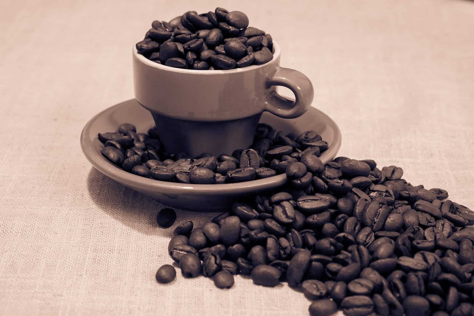 Coffee Bean Arabica