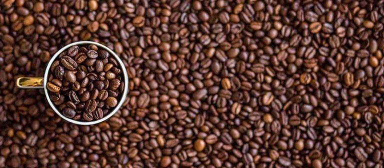 Guide on Where Does Coffee Come From