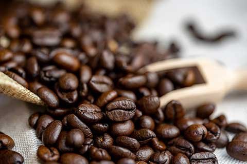 Factors Used in Determining the Best Espresso Beans for Breville